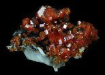 Shiny Red Vanadinite Crystals - Morocco #32334-1